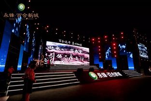 永鋒·百合新城璀璨亮相，龐龍獻唱引爆武城文化新篇章